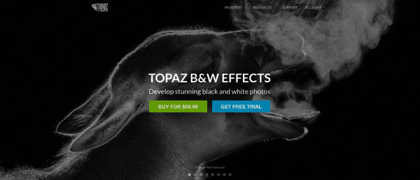 Topaz B&W Effects