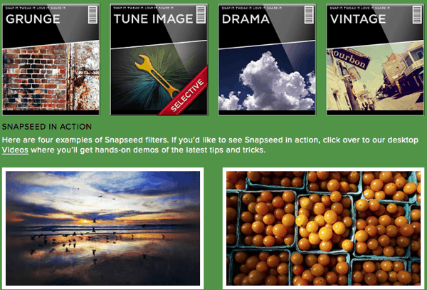 Snapseed desktop