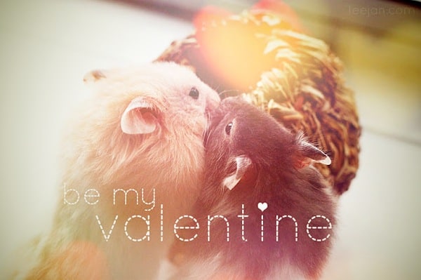 valentine-napi-photoshop-tutorial.jpg Valentine napi photoshop tutorial