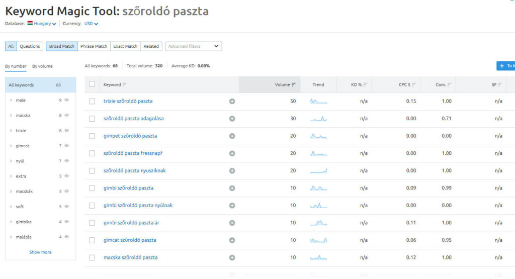 SEMrush Keyword Magic tool