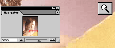 crop_06