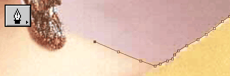 crop_07