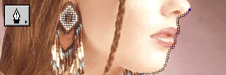 crop_08