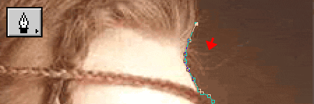crop_09