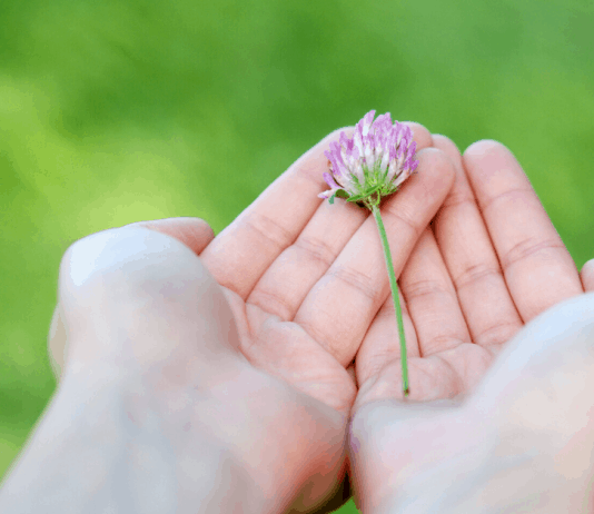 Járványveszély - mit tehetünk az online marketingben