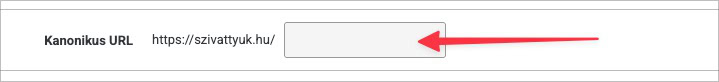 az Unas webáruház motor esetében alapértelmezetten nincs kitöltve adminban a canonical tag.